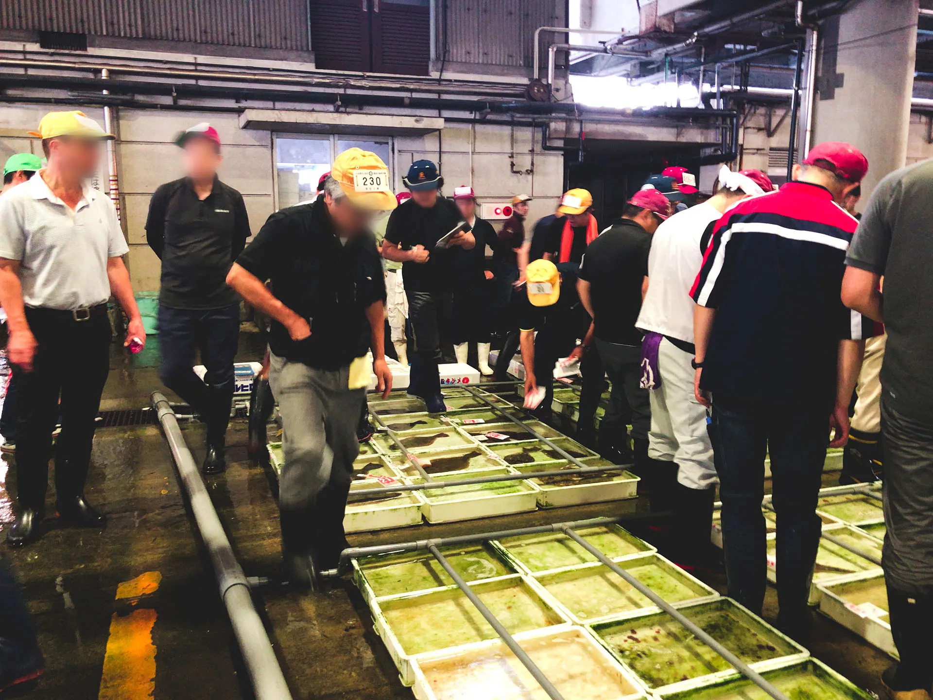 Visit to the local fish market with the instructor