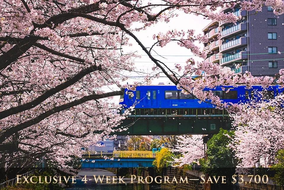 スプリングコース