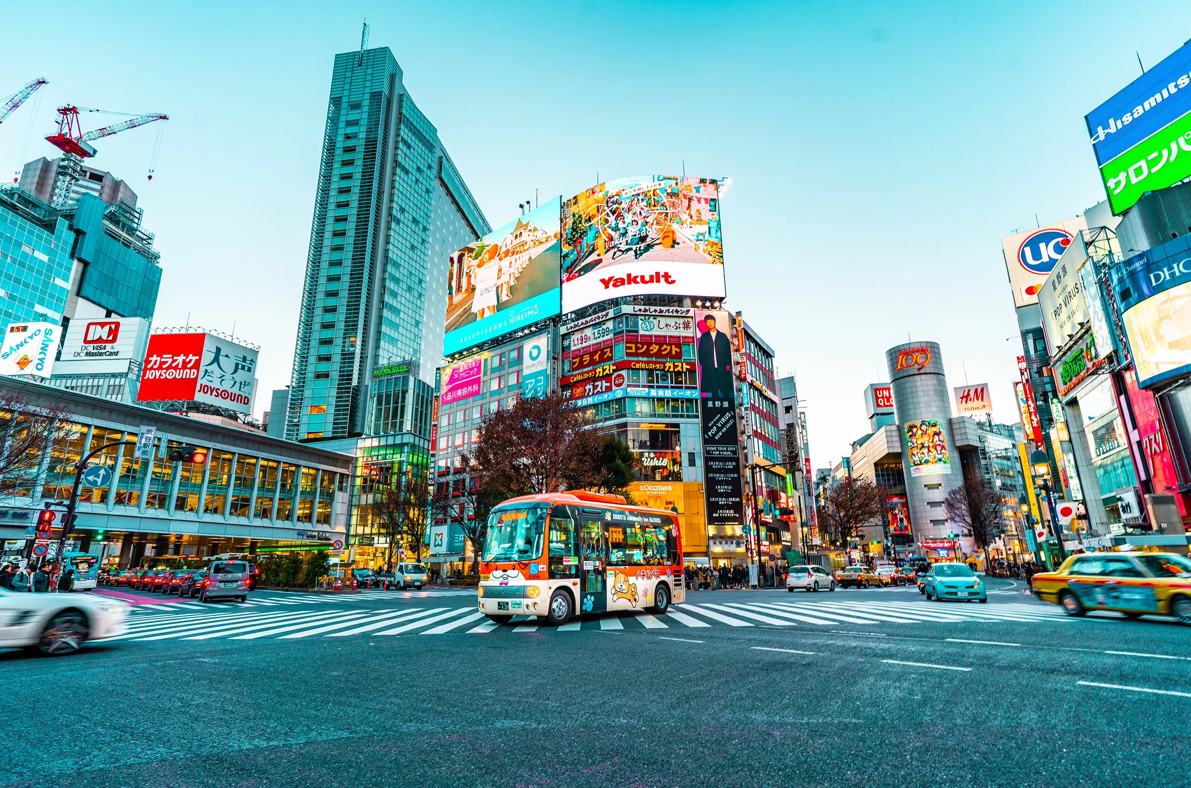 Tokyo Metropolis